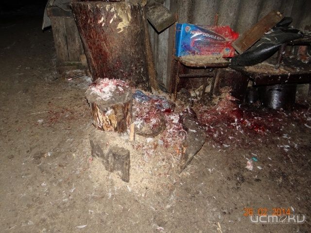 В Ливенском районе на 90 суток закрыли нелегальную убойную площадку В Ливенском районе на 90 суток закрыли нелегальную убойную площадку