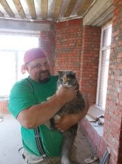В Орле ищут хозяев кошки, спасенной из рухнувшего дома на наб. Дубровинского