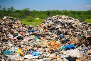 В Орловской области мусор сваливали прямо на поля 