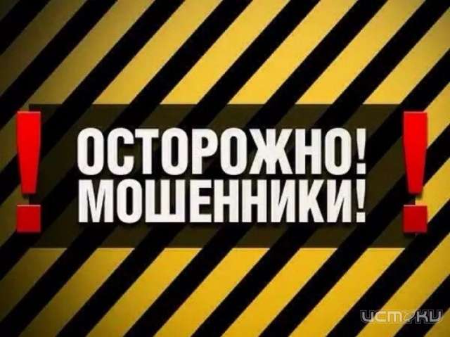 Осуждены супруги, похитившие у аптечной сети более 18 млн рублей Осуждены супруги, похитившие у аптечной сети более 18 млн рублей