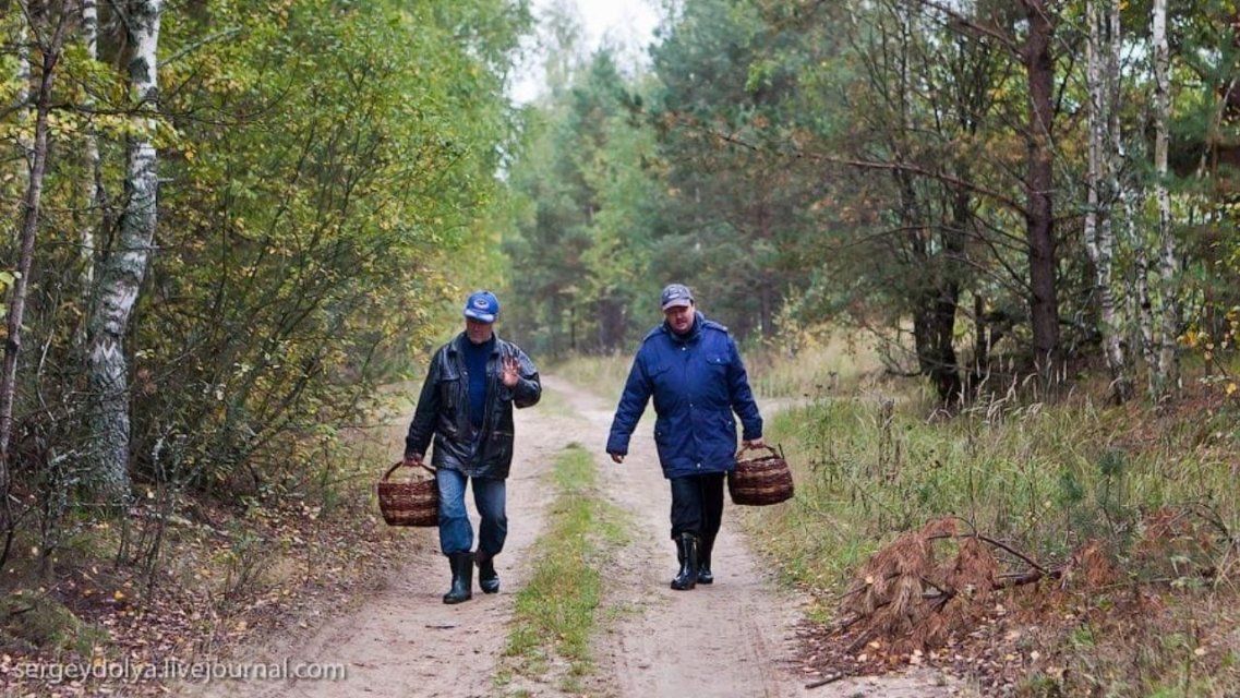 Орловские спасатели советуют грибникам ярко одеваться и ходить по трое