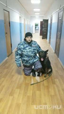 В Ливенском районе овчарка помогла полицейским поймать воровку В Ливенском районе овчарка помогла полицейским поймать воровку