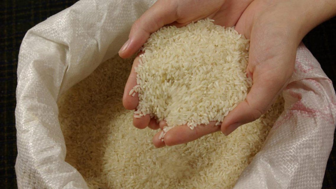 Орловщина поставила на экспорт рис