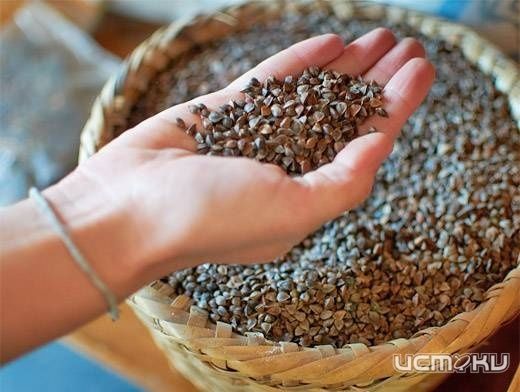 В Орловской области начнет работать новый завод В Орловской области начнет работать новый завод