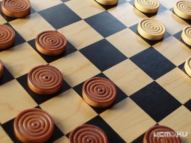Шашисты разберутся за клеточной доской Шашисты разберутся за клеточной доской