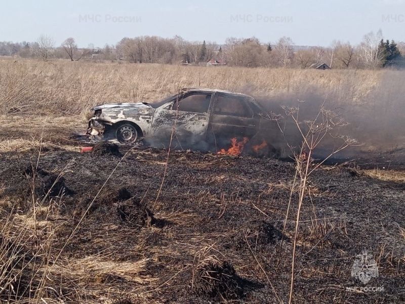 В Орловской области авто стало причиной пала сухой травы на площади 300 кв. метров