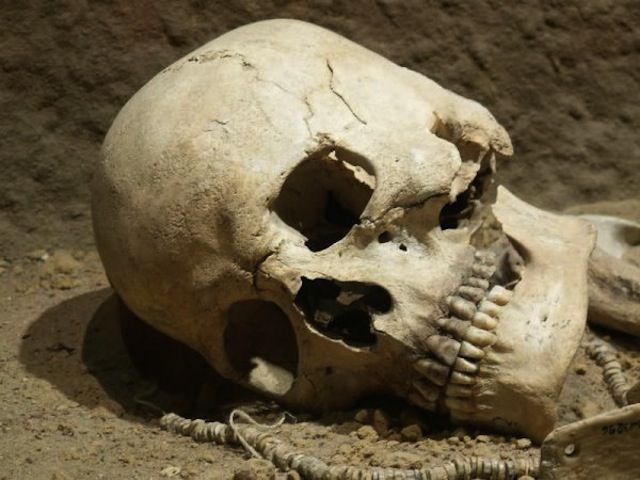 Житель Ливен при копании канализационной ямы наткнулся на человеческий череп Житель Ливен при копании канализационной ямы наткнулся на человеческий череп