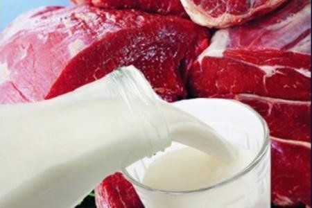 Орловские ветинспекторы проверили монгольские предприятия дали свой ответ на западные санкции Орловские ветинспекторы проверили монгольские предприятия дали свой ответ на западные санкции