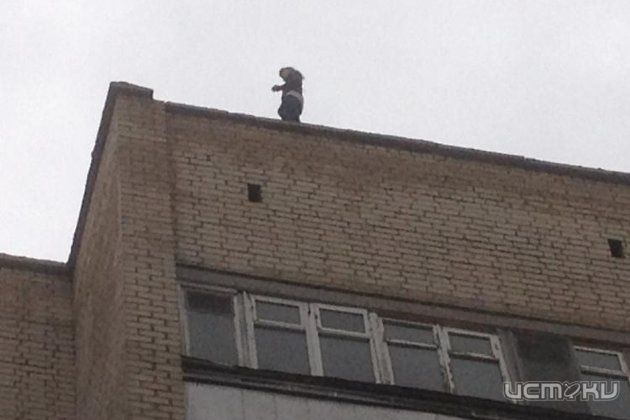 Орле ночью полиция отлавливала двух «карлсонов» Орле ночью полиция отлавливала двух «карлсонов»