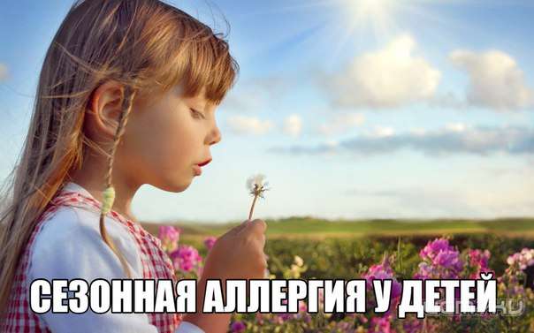 У ребенка поллиноз изображения У ребенка поллиноз изоражения