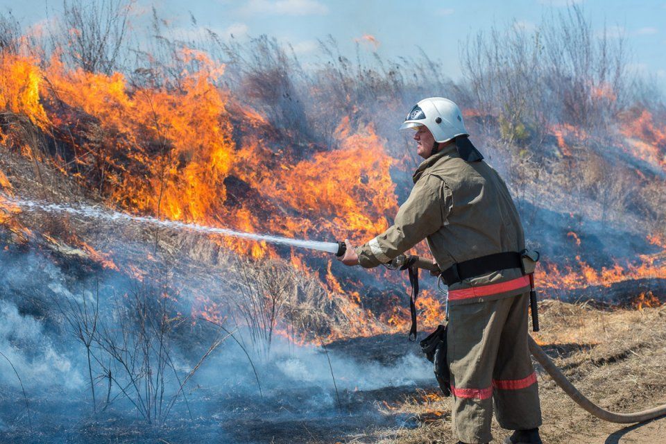 На Орловщине ухудшилась защита лесов от пожаров — Рослесхоз