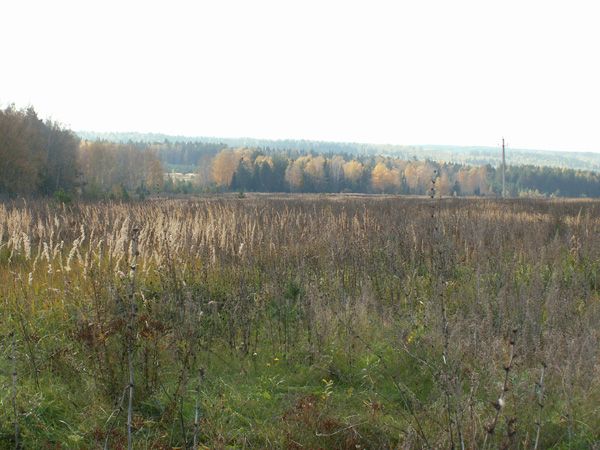 В Новодеревеньковском районе как следует не следили за землями В Новодеревеньковском районе как следует не следили за землями