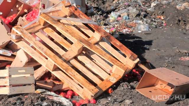 В Орле уничтожили более трех тонн томатов В Орле уничтожили более трех тонн томатов