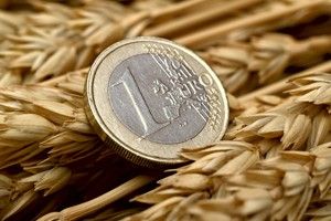 Долг «Пшеницы-2000″ привязали к евро по 44 рубля