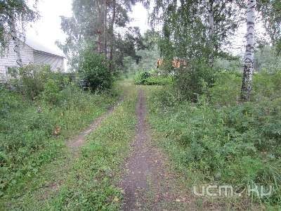 В районе озера «Светлая жизнь» убили молодого парня В районе озера «Светлая жизнь» убили молодого парня