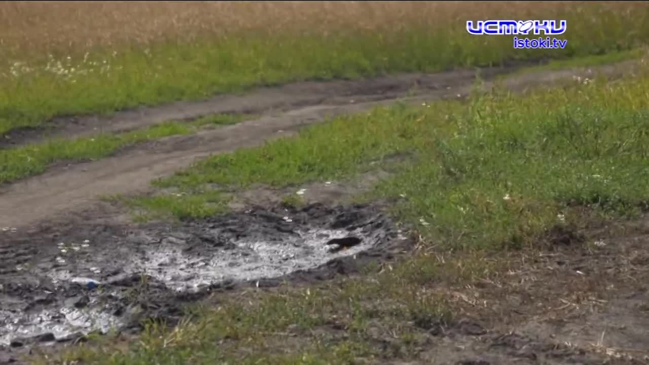 Экспертное мнение 07.08.2024
