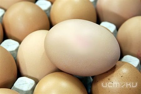 В Орловской области школьников кормили просроченными продуктами В Орловской области школьников кормили просроченными продуктами