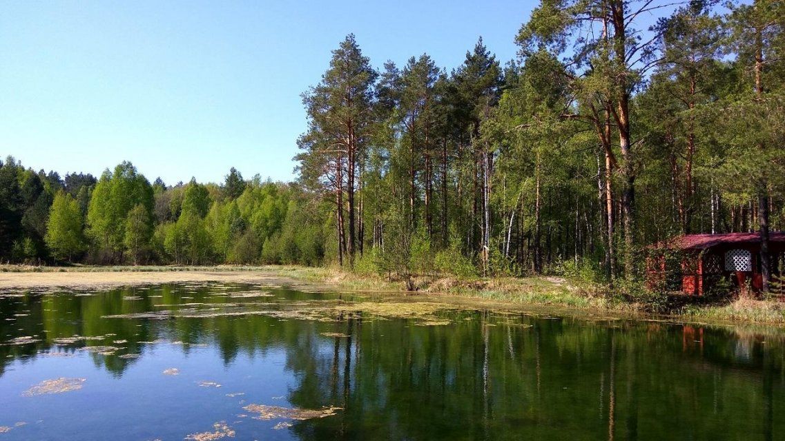 В «Орловском полесье» планируется создать центр экологического туризма