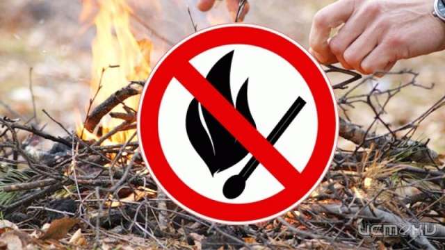 Из-за жары в Орле ввели особый противопожарный режим Из-за жары в Орле ввели особый противопожарный режим