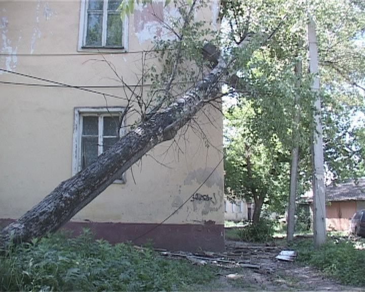 Дерево упало прямо на дом — кто его будет восстанавливать? Дерево упало прямо на дом — кто его будет восстанавливать?