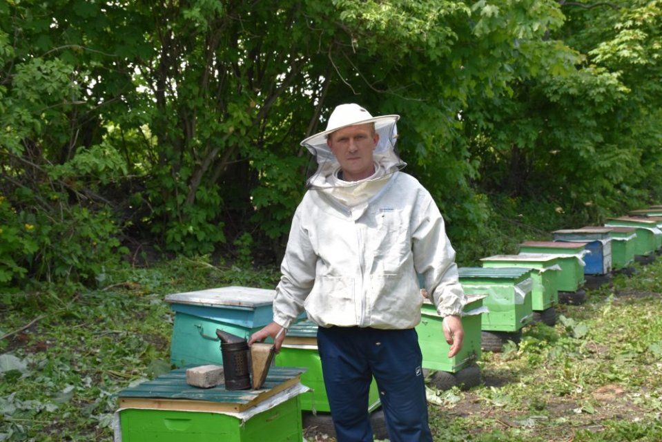 Благодаря соцконтракту орловчанин открыл собственное дело по разведению пчел