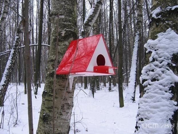 В Орле проходит конкурс "Птицы в городе" В Орле проходит конкурс "Птицы в городе"