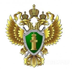 Щит и меч на страже законности Щит и меч на страже законности