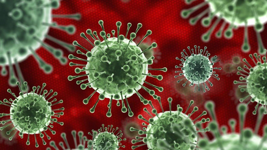 На Орловщине за последние сутки коронавирус нашли еще у 172 человек