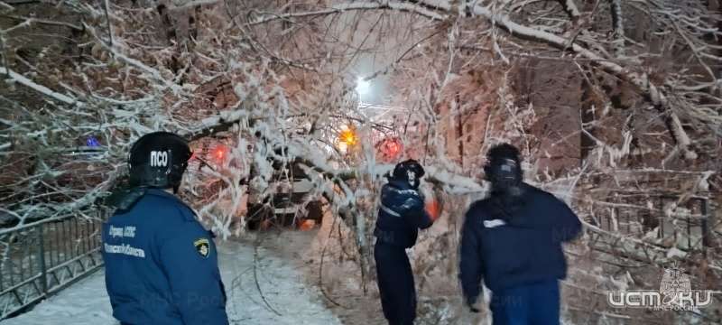 В Орле дерево заблокировало дорогу В Орле дерево заблокировало дорогу