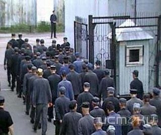 В орловских колониях выявлены многочисленные нарушения В орловских колониях выявлены многочисленные нарушения