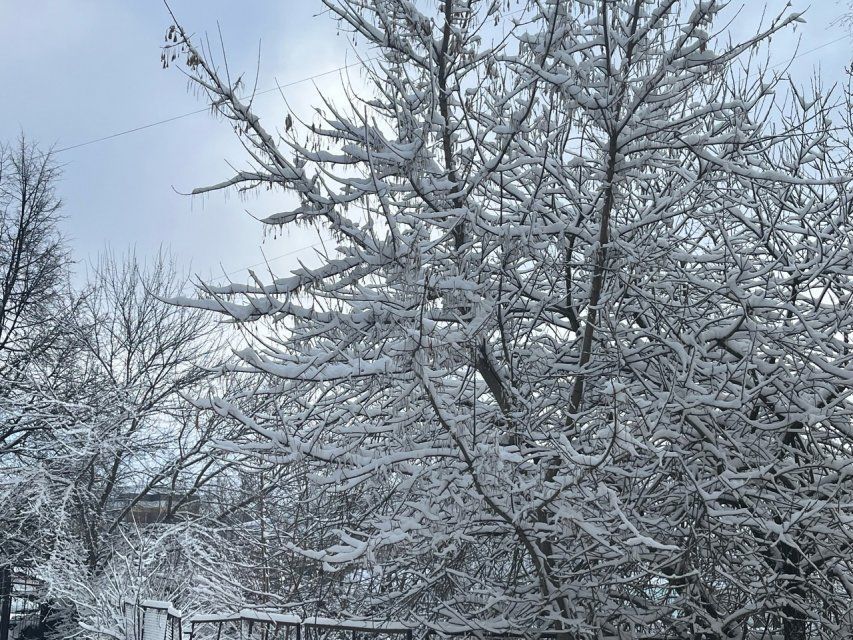 Такого никто не ожидал. Как выглядит Орёл после внезапного снегопада, что говорят о погоде жители и как среагировали на это погодное явление наши чиновники?