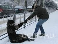 Осторожно, гололед! Осторожно, гололед!