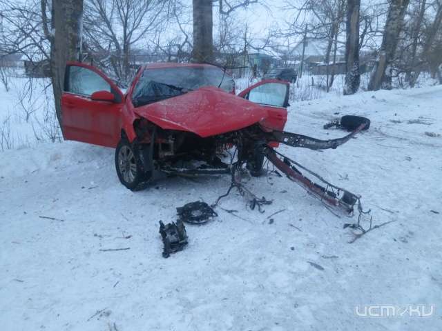 В Орловской области «Опель» врезался в дерево В Орловской области «Опель» врезался в дерево