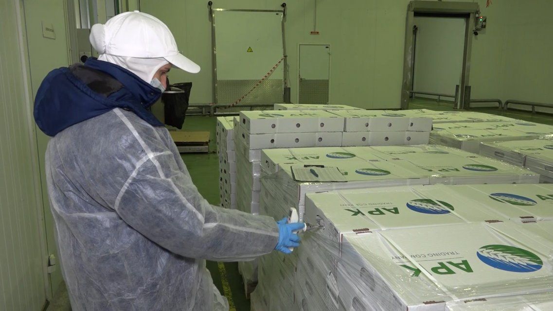 Более 1,9 тысяч тонн свекловичного жома экспортировала Орловская область в Китай