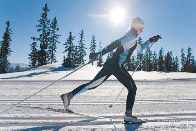 Орловчан приглашают на выставку-просмотр Winter Sports Орловчан приглашают на выставку-просмотр Winter Sports