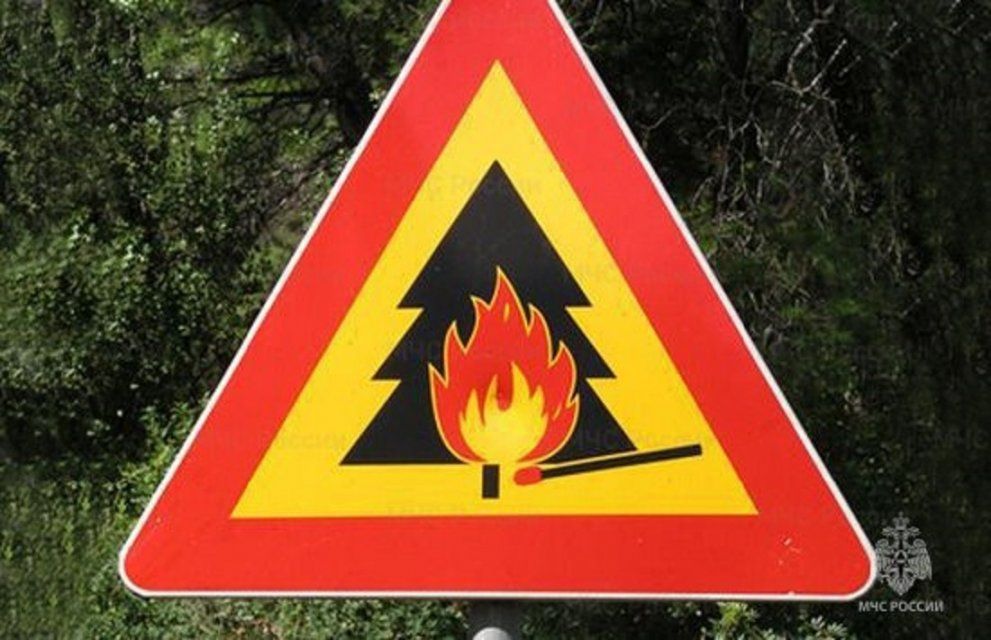 На Орловщине фиксируют высокий уровень пожарной опасности