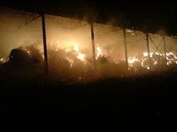 За выходные в Орловской области сгорело более сотни тонн сена За выходные в Орловской области сгорело более сотни тонн сена