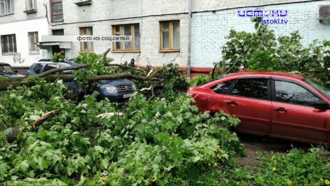 Орловским медикам пересчитали президентские выплаты, а ветер повалил деревья и повредил несколько авто