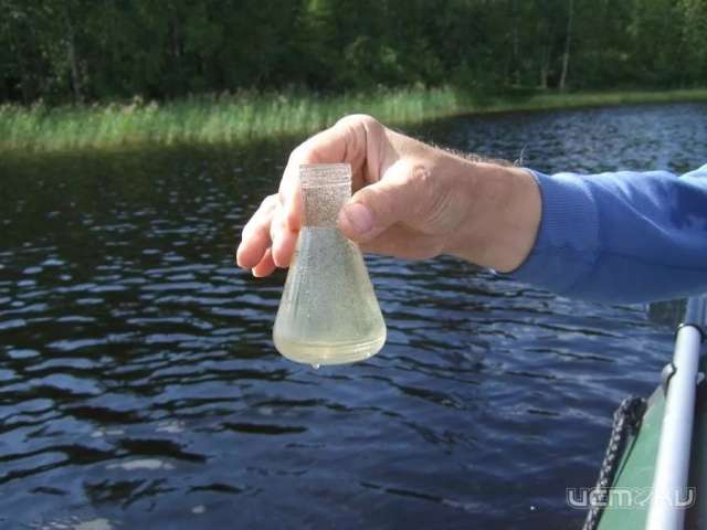 В Орле качество воды в зонах отдыха не соответствует требованиям санитарных правил В Орле качество воды в зонах отдыха не соответствует требованиям санитарных правил