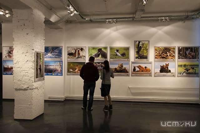 Орловчан приглашают на фотовыставку «Охота за счастьем» Орловчан приглашают на фотовыставку «Охота за счастьем»