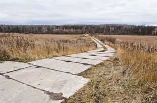 Продажа дороги в Шаблыкинском районе: СК заподозрил чиновников в халатности
