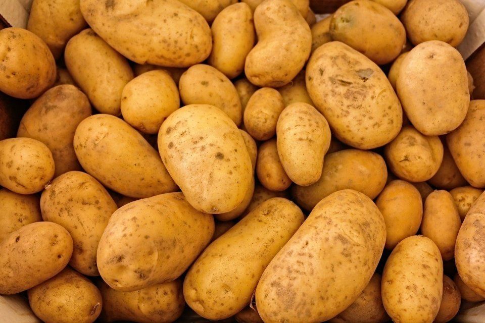 Орловчане вывезли в Курскую область 3,9 тонны нелегальной картошки