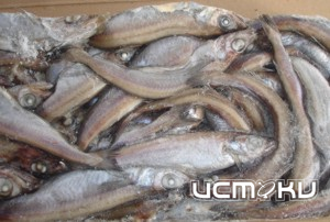 В орловских магазинах есть опасность купить зараженную рыбу В орловских магазинах есть опасность купить зараженную рыбу