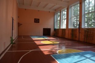Активисты ОНФ проверили спортзалы в сельских школах Орловщины