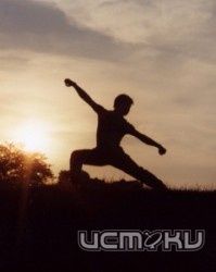 Лучшие ушуисты - в гости к нам Лучшие ушуисты - в гости к нам