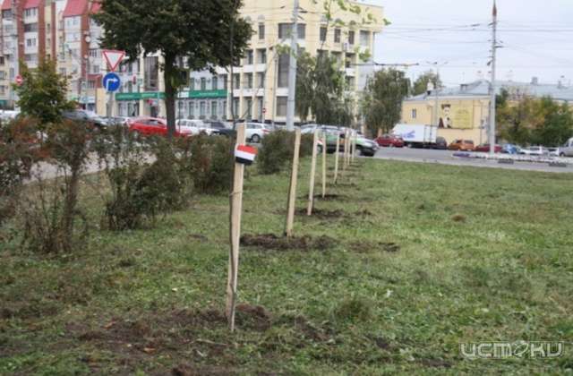 В честь 80-летия Орловской области в Орле заложили липовую аллею В честь 80-летия Орловской области в Орле заложили липовую аллею