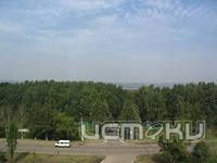 В школу через лес В школу через лес