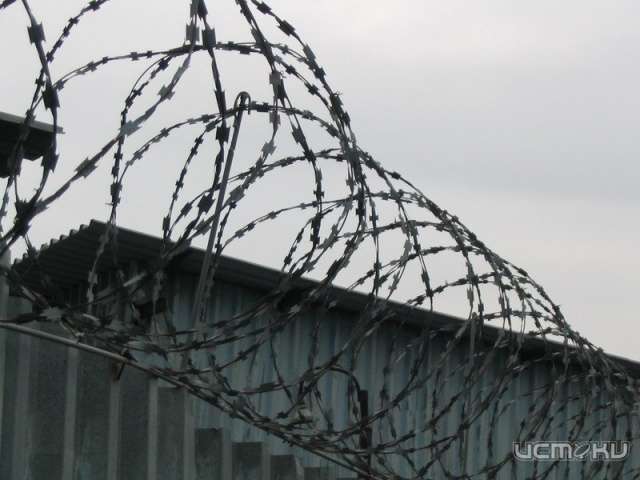 За расправу над сожительницей мценский экс-полковник МВД сел на 11 лет За расправу над сожительницей мценский экс-полковник МВД сел на 11 лет