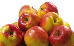 В Орле уничтожили 20 кг санкционных яблок