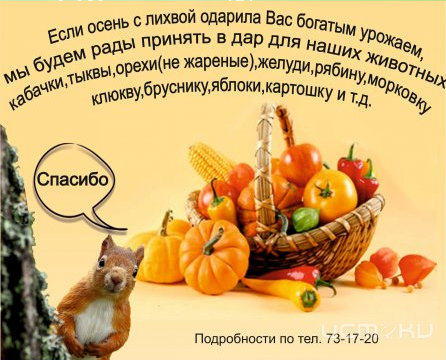 Орловчане могут поделиться фруктами и овощами с животными Детского парка Орловчане могут поделиться фруктами и овощами с животными Детского парка